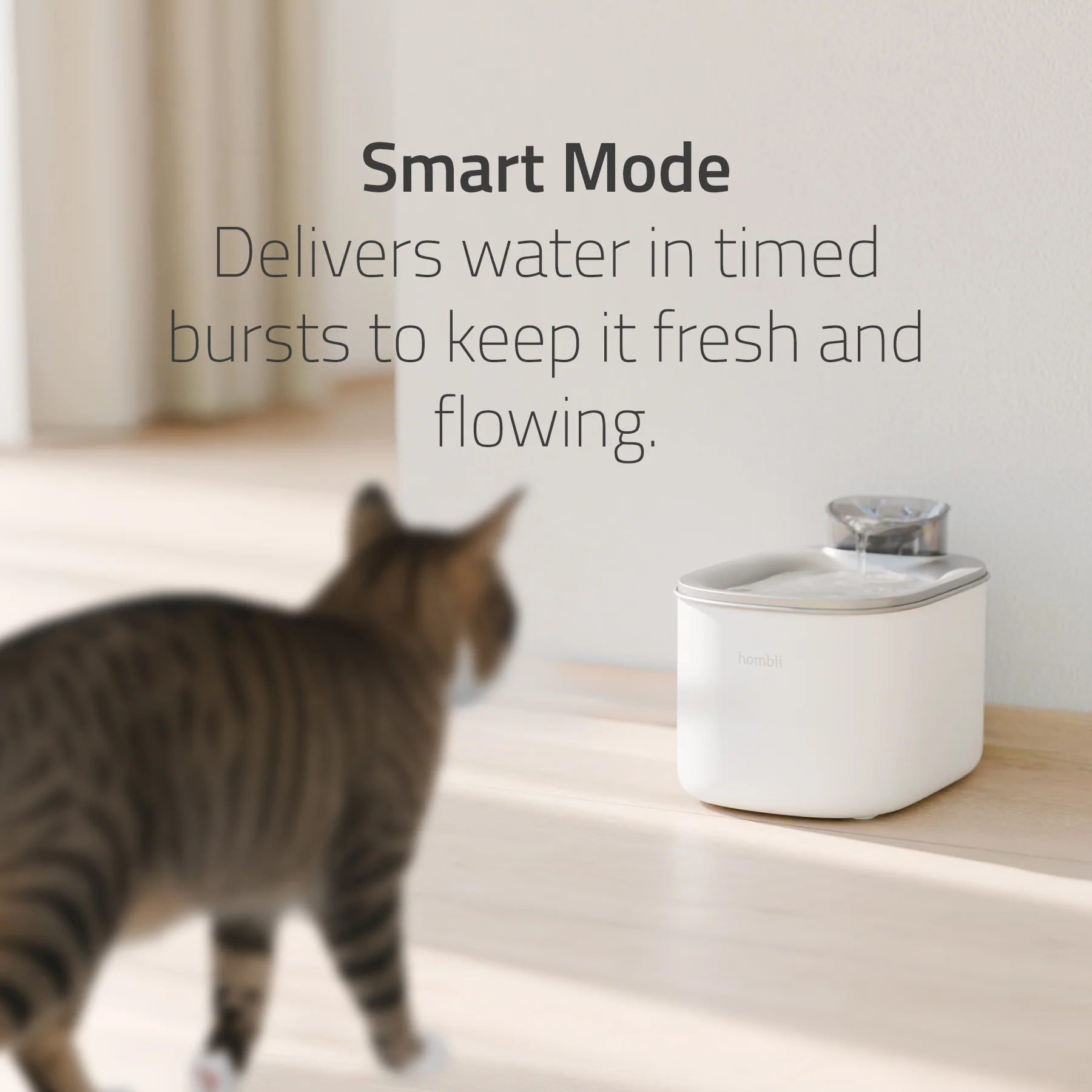 Hombli Smart Pet Fountain - Image 3