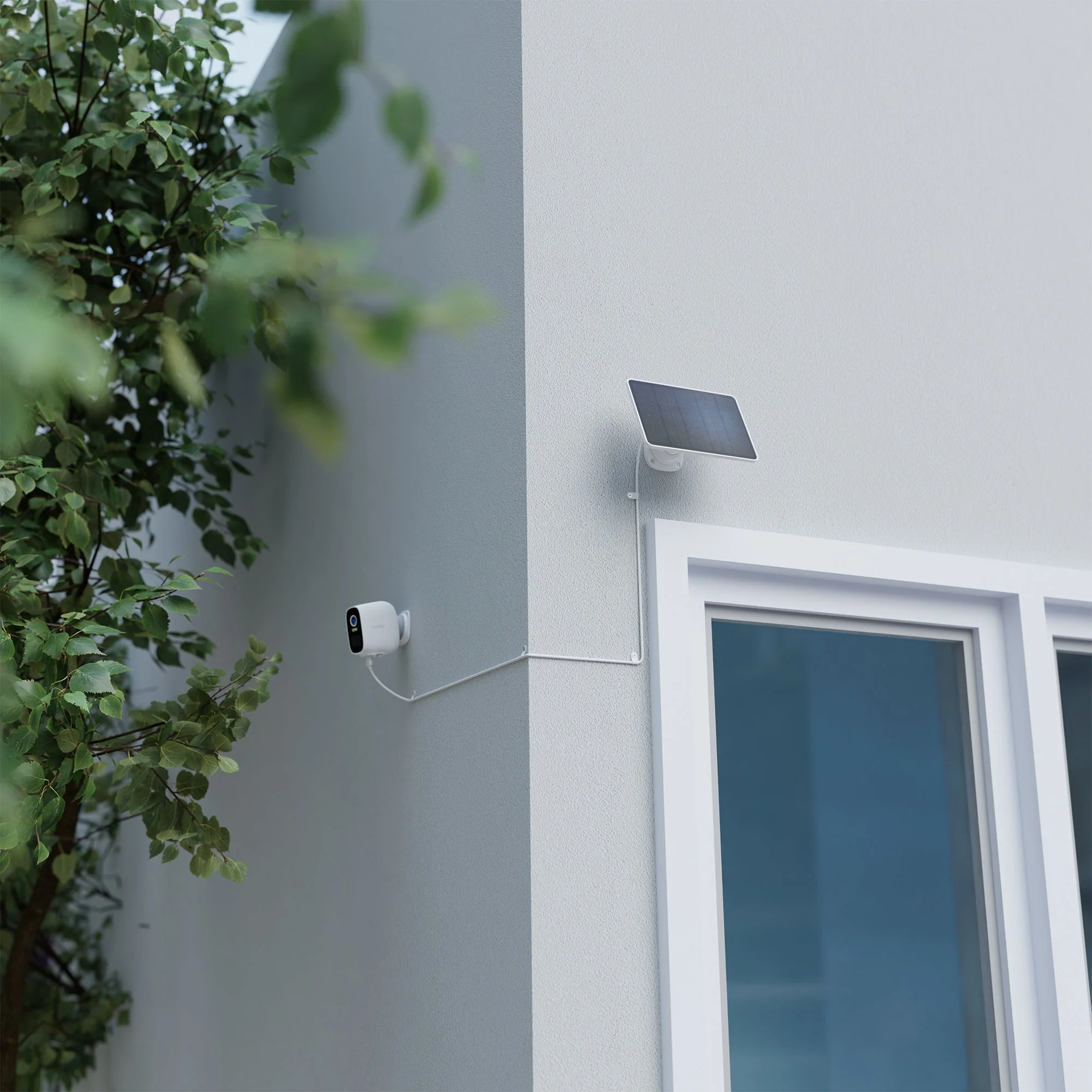 Hombli Solar Panel - 3W - Image 4